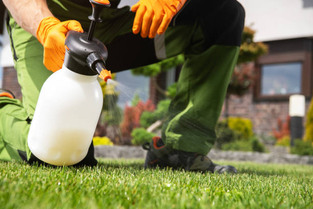 Flea Control Services in Toquerville, UT