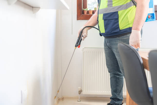 Best Wasp Removal Services  in Toquerville, UT