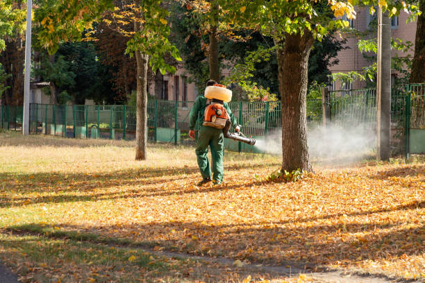 Best Pest Control for Businesses  in Toquerville, UT