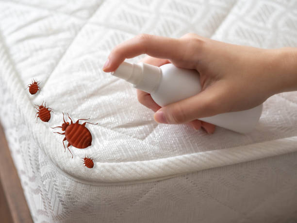 Best Pest Inspection Near Me  in Toquerville, UT
