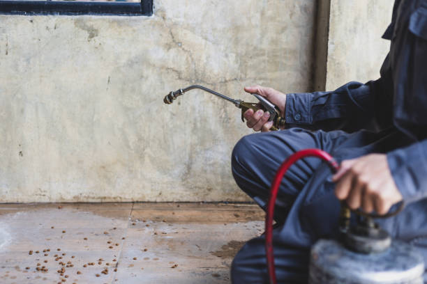  Toquerville, UT Pest Control Pros